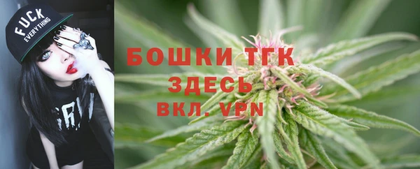 ПСИЛОЦИБИНОВЫЕ ГРИБЫ Протвино