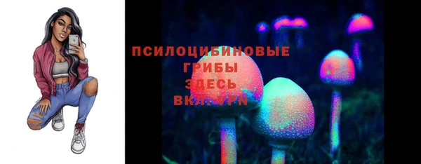 ПСИЛОЦИБИНОВЫЕ ГРИБЫ Протвино