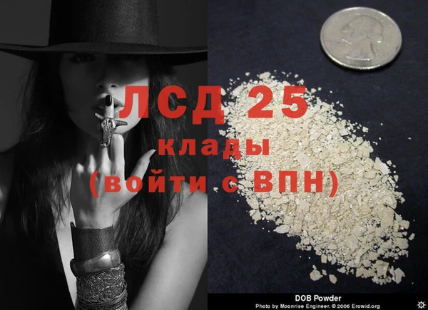 Альфа ПВП Пролетарск